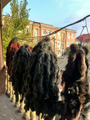 Təbii naturalniy türk peses 150 ədəd Bir dənəsi 5-7 azn Təbii xəz lalafo.az -da Təbii naturalniy türk peses 150 ədəd Bir dənəsi 5-7 azn Təbii xəz