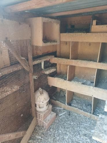 mal satisi: Taxta və metal profildən hazırlanmış quş/balaca heyvan qəfəsi (xüsusi — 3