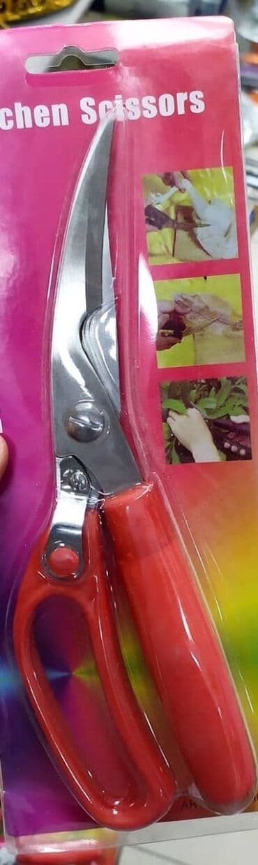 qaycı: Toyuq qayçısı — 1