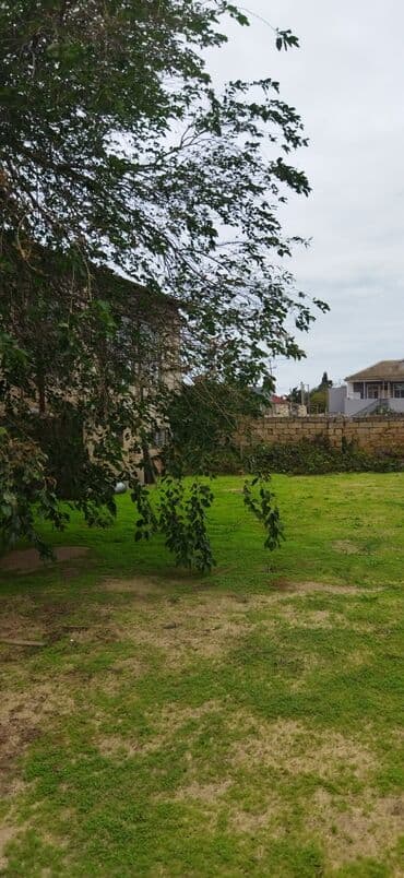 xacmaz torpaq sahesi satilir: Həyətyanı torpaq sahəsi - Yaşıllıqla örtülü geniş həyət, sıx kölgə — 2