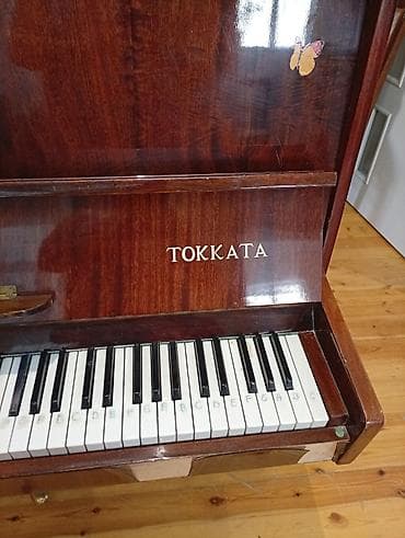 pianolar ucuz: TOKKATA upright pianino - Korpus: parlaq laklı tünd qəhvəyi ağac — 2