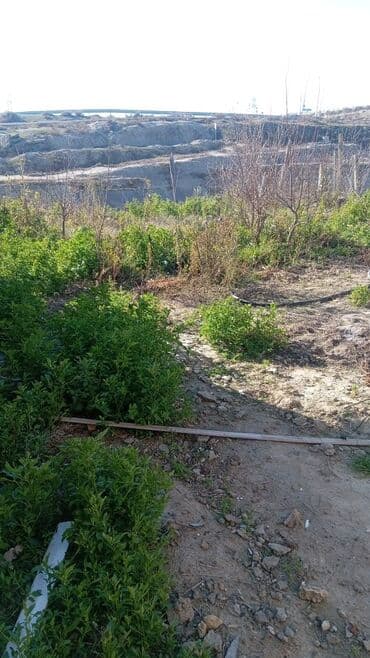 Həyət evi alıram: Stansa sumqayıtda 3 sotda 3 otaq Sanıtar qovşaq heyetdedir kafeli — 9