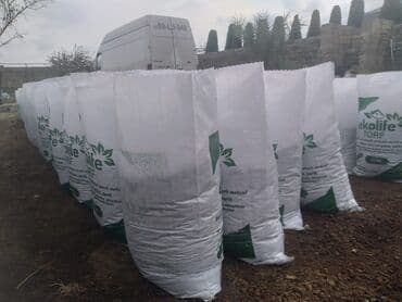 əjdaha meyvəsi qiyməti: Ekolay
20 litrdi — 1