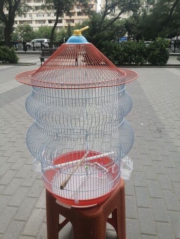 quş qəfəsləri: Qəfəs 9azn Valnisti Tutuquşu Qəfəsi 9azn Amadin Bülbül Qəfəsi 9azn — 24