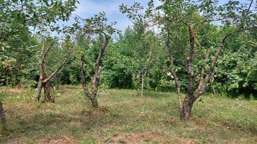 сайты недвижимости в баку: 16 соток, Для строительства, Собственник, Купчая — 3