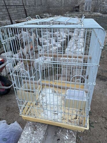 Daewoo: Quş qəfəsi - Material: metal barmaqlıqlar, plastik altlıq - Rəng: ağ — 7