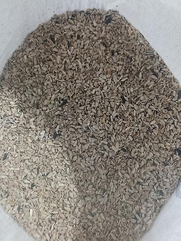 Yağ siximı üçün semiçqa ləpəsi qırıq ləpə qiyməti 2 manat 20 qəpik