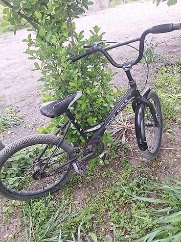 veosiped: İki təkərli Uşaq velosipedi Stels, 20", sürətlərin sayı: 1 — 2