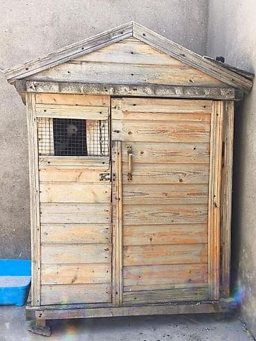 bildircin yuvası: Taxta göyərçin yuvası/kümesi - Material: qalın taxta karkas, iç və — 3