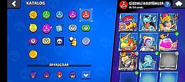 celil oglu: Şarm — 5