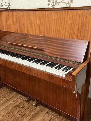 Велоаксессуары: Пианино, Кубань, Акустический, Б/у, Самовывоз — 2