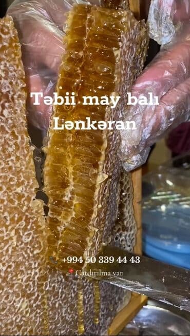 bal: 100% Tam Təbii bal. Endirim: İlk defe alanlara 10% endirim. 4kq — 1