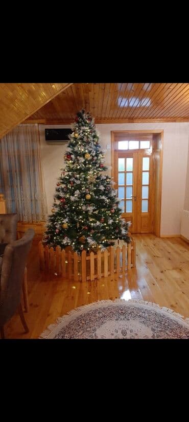 taxta 5 20: Yolka satilir Qiymet 200 man Hundurluyu 230-240 sm 1 ildi alinib — 2