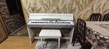mini piyano: Piano, Rəqəmsal, Yeni — 2