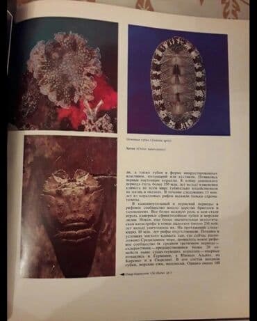 güvən ümumi tarix: Kitab Drama Okeana — 3