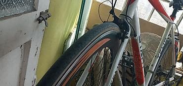 velospet: Şosse tipli velosiped – START TEMP - Çərçivə: yüngül lehimli — 2
