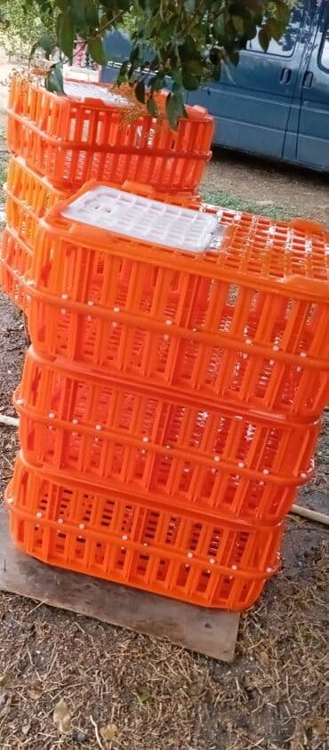 it satışı: Təcili satılır.6 ədədi 240manat — 3