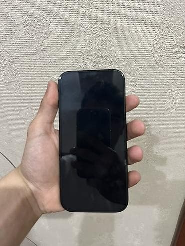 gt50 pro max: IPhone 16 Pro, 256 GB, Qara — 1