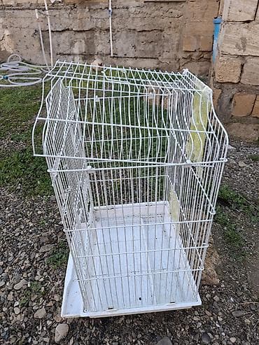 ev quşları: Quş qəfəsi – ağ metal - Material: toz boya ilə örtülmüş metal — 2