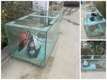 🌙 *Nure* *Satılır – Akvarium* ➤ *Ölçü:* 133×60×60 sm ➤ lalafo.az -da 🌙 *Nure* *Satılır – Akvarium* ➤ *Ölçü:* 133×60×60 sm ➤