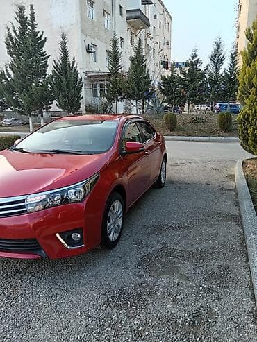 avtomobil nissan mikra: Toyota Corolla: 1.6 l | 2014 il Sedan — 6