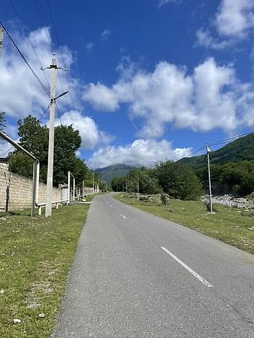 torpag sahesi: Tikinti, Mülkiyyətçi, Kupça (Çıxarış) — 2