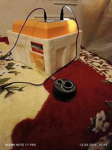 İnkubatorlar: Çin, Bütün növ quşlaq üçün — 4