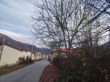 20 yanvar kiraye: 3 sot, Tikinti, Mülkiyyətçi, Kupça (Çıxarış) — 3