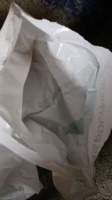 odun sobası bakı: Bu növ salafanin alişi — 3