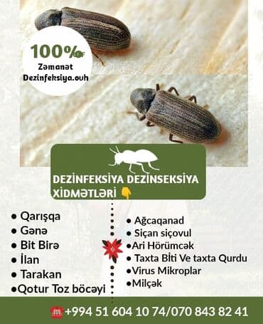 en yaxsi xalca yuma hansi: Dezinfeksiya, dezinseksiya | Taxtabiti, Birələr, Tarakanlar | Nəqliyyat, Ofislər, Mənzillər — 11