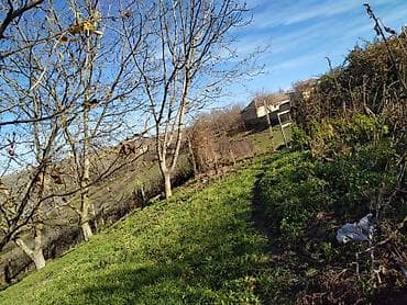 100 sot, Biznes üçün, Mülkiyyətçi, Müqavilə