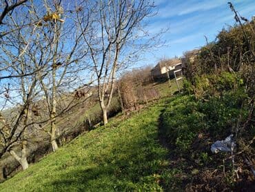 kirayə evlər 2025 sumqayıt: 100 sot, Biznes üçün, Mülkiyyətçi, Müqavilə — 1