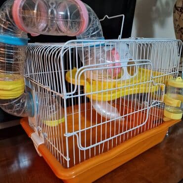 большая клетка для кролика: Xomyak ucun qefes — 3