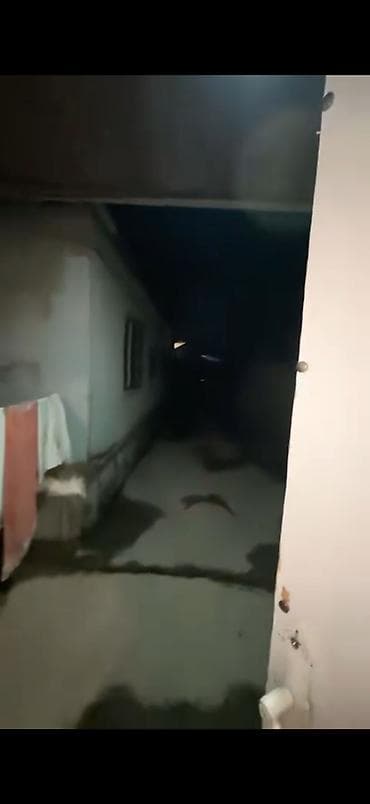 bilecerde evler: 5 otaqlı, 200 kv. m, Yeni təmirli — 2