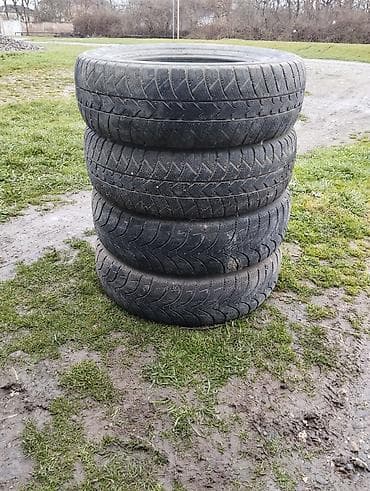 masin peci: 4 ədəd avtomobil yay şini komplekti - Növ: yay/uzunömürlü (asfalt — 2
