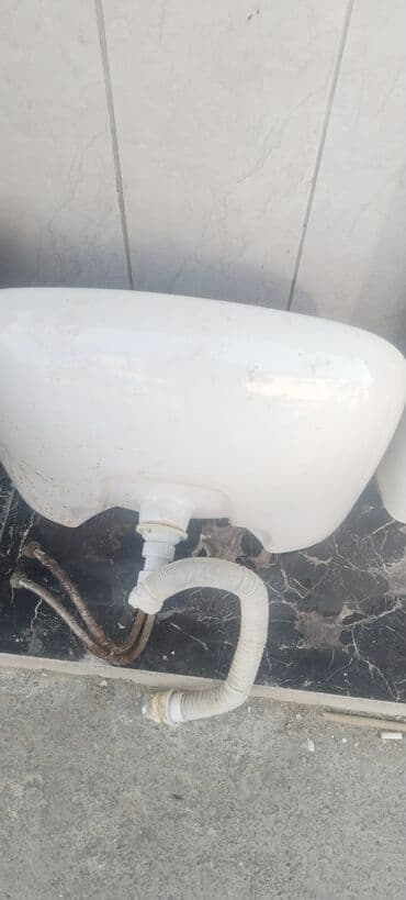 Tyulpan yaxşı vəziyyətdədir