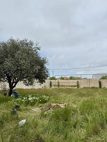 ucarda torpaq satilir: 6 sot, Tikinti, Kupça (Çıxarış) — 2