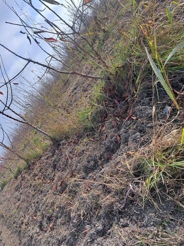 купить 1 комнатную квартиру в баку: Quba-Xaçmaz ərazisindədir Asvalt yola 5km yaxınlıqda 6 illik karmen — 5