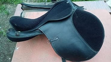 cucə və xoruz təmsil: Atçılıq dəsti – STATUS markalı eyer və aksesuarları - Tip — 3