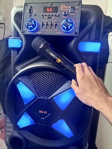 muzikalni sentir: Güclü portativ akustik sistem – karaoke və tədbirlər üçün - Model — 2