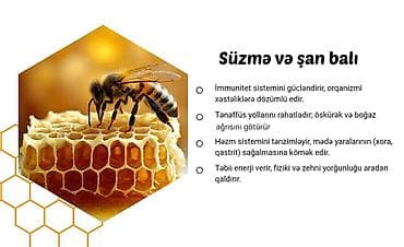 bal arısı satışı: 🍯✅ Yüksək keyfiyyətli Kəlbəcər balının və arı məhsullarının tək — 3