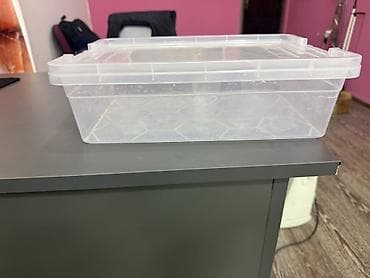 plastik qaplar: Şəffaf plastik saxlama qabı – qapaqlı bir ededi 4 man — 1