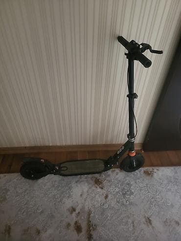 Şəkillər, tablolar