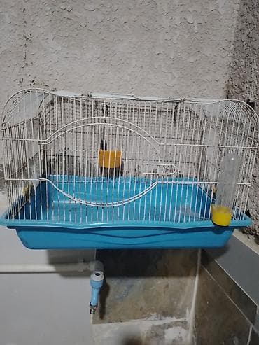 Quş qəfəsi – orta ölçülü, metal barmaqlıqlı və mavi plastik altlıqla — 3