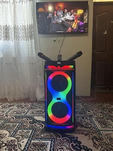 yaxa mikrofonu: Hofman Karaoke funksiyalı portativ partnyor akustik sistemi - İki — 2