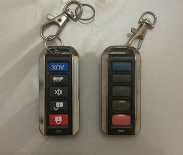 mawin cexolu: Epoksid qatranında konservasiya edilmiş əsl əqrəb fiqurlu açarlıqlar — 4