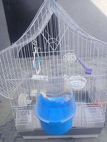 Qəfəslər: Iki ədəd böyük qəfəs satılır biri 20 m bütün aksisuarlarıyla birlikdə — 3