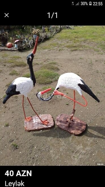 Bağ və bostan üçün digər məhsullar