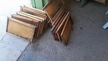 С/х животные и товары: Arıçılıq üçün taxta çərçivələr - Material: möhkəm taxta karkas — 2