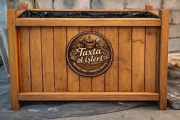 Саженцы деревьев: 100x30x50dipcek Bitki elave hesablanir Bitkinin hundurluyu 60-70sm — 2